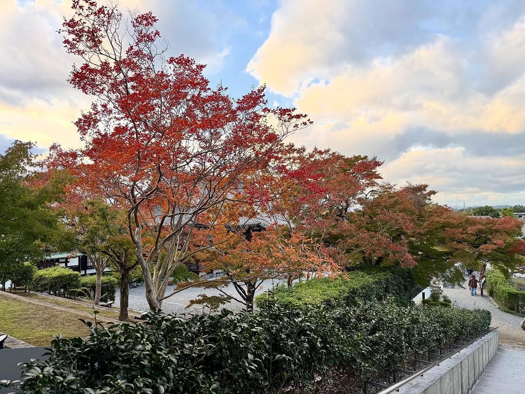 Post 6 by 平等院 Byodoin Temple on Instagram (image)