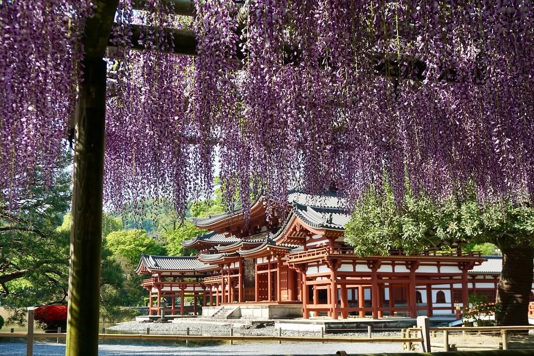 Post 10 by 平等院 Byodoin Temple on Instagram (carousel)