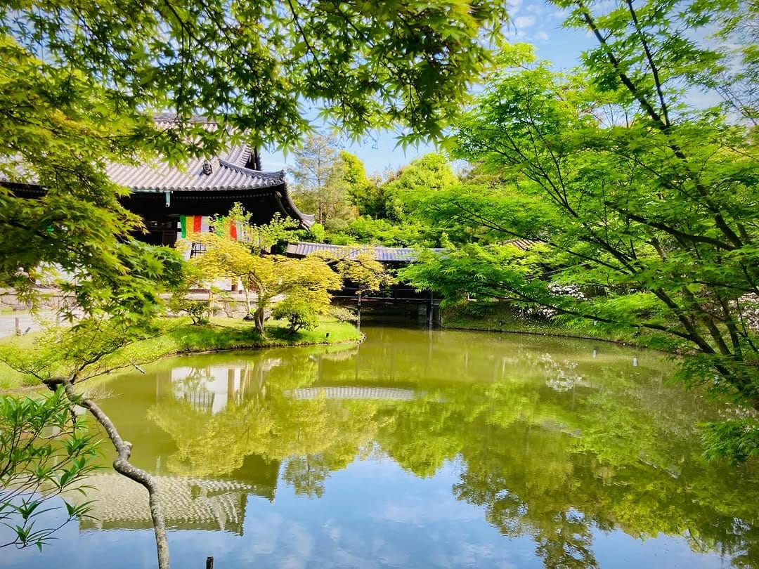 Post 6 by 高台寺/Kodaiji Kyoto🇯🇵 on Instagram (carousel)