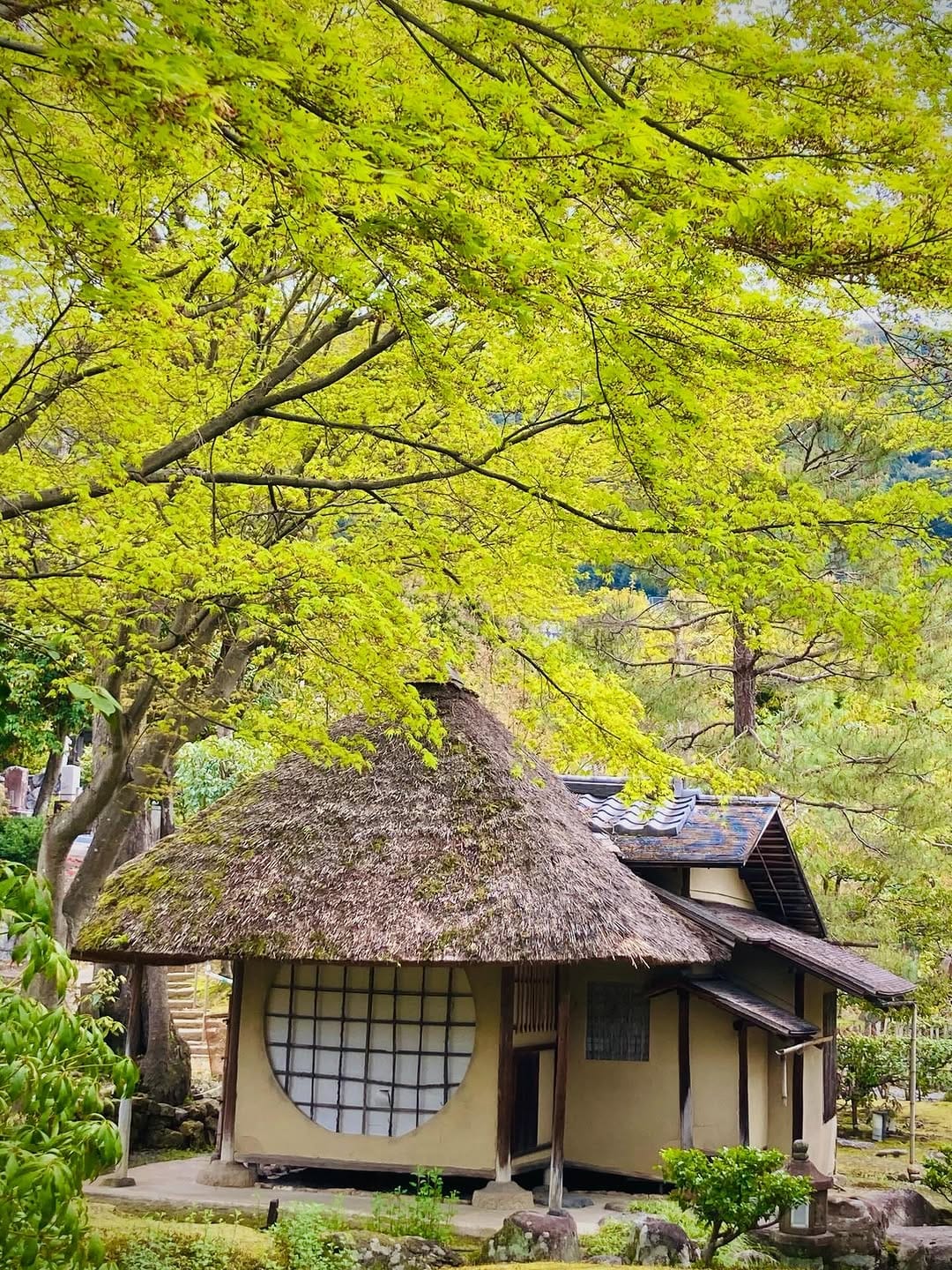 Post 10 by 高台寺/Kodaiji Kyoto🇯🇵 on Instagram (carousel)