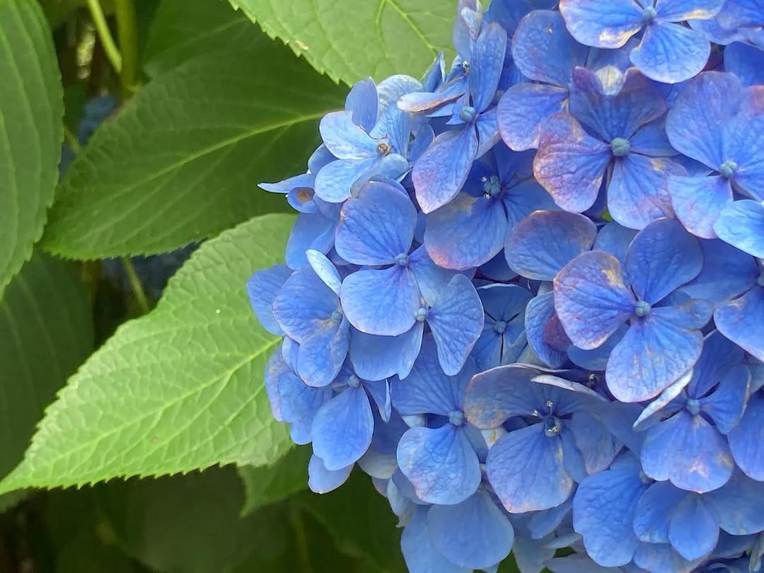 Post 8 by Osami Kitazono on Instagram (image)