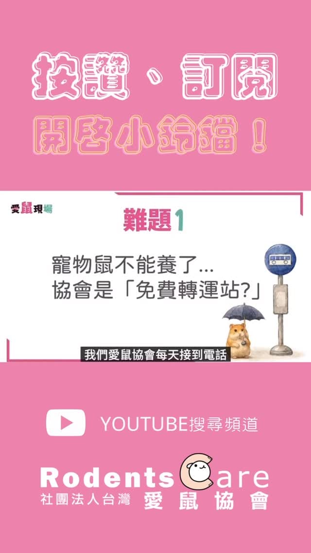 Post 10 by 台灣愛鼠協會｜鼠類認養｜救援安置｜知識推廣｜政策倡議 on Instagram (video)