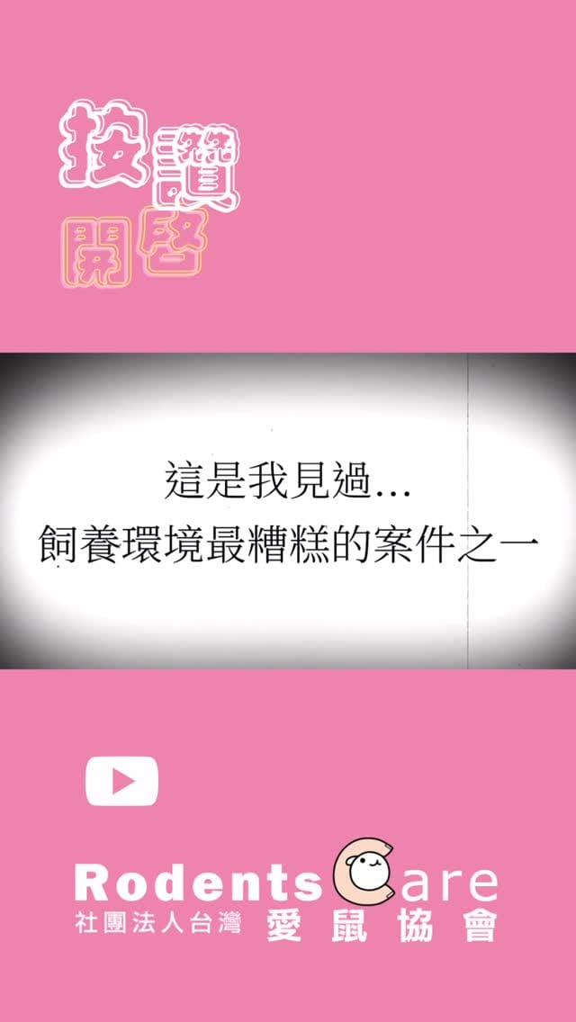 Post 9 by 台灣愛鼠協會｜鼠類認養｜救援安置｜知識推廣｜政策倡議 on Instagram (video)