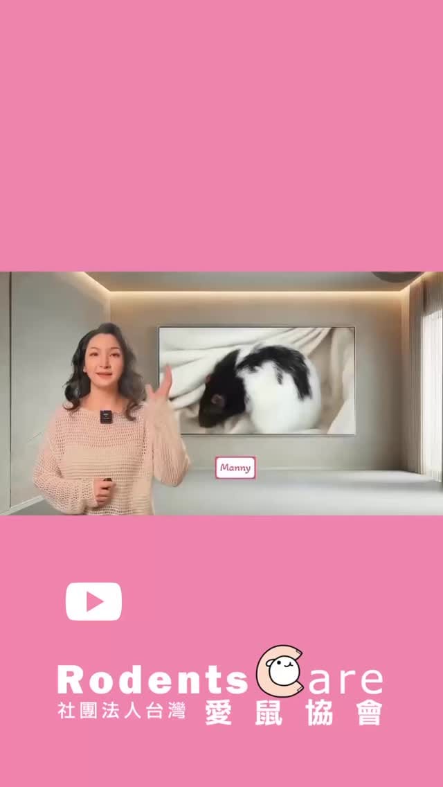 Post 8 by 台灣愛鼠協會｜鼠類認養｜救援安置｜知識推廣｜政策倡議 on Instagram (video)
