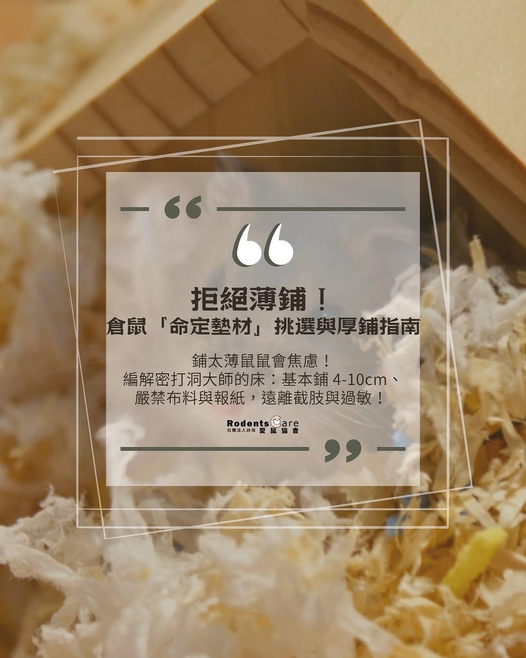 Post 2 by 台灣愛鼠協會｜鼠類認養｜救援安置｜知識推廣｜政策倡議 on Instagram (image)