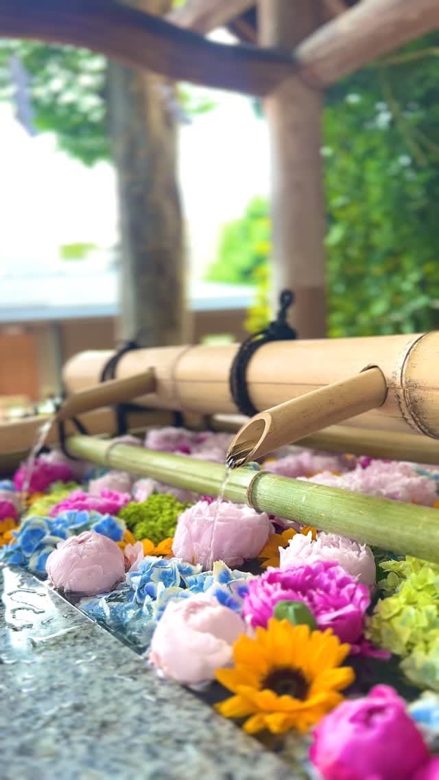 Post 2 by 勝利と至誠の神様 東郷神社⛩ on Instagram (video)