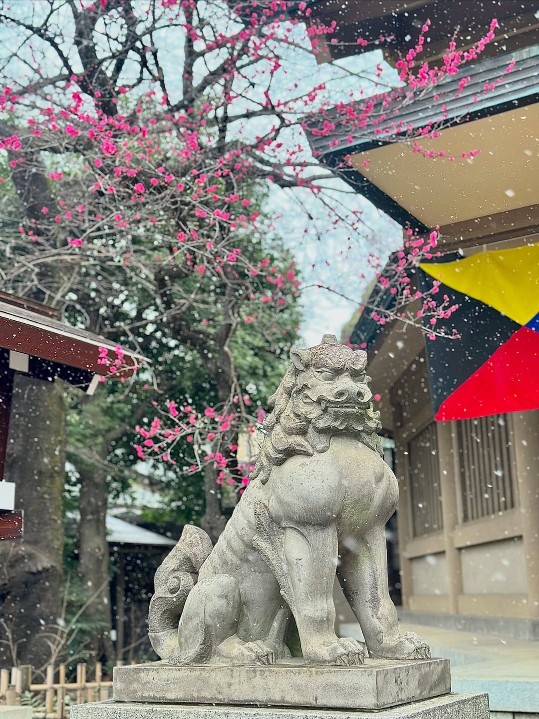 Post 10 by 勝利と至誠の神様 東郷神社⛩ on Instagram (image)