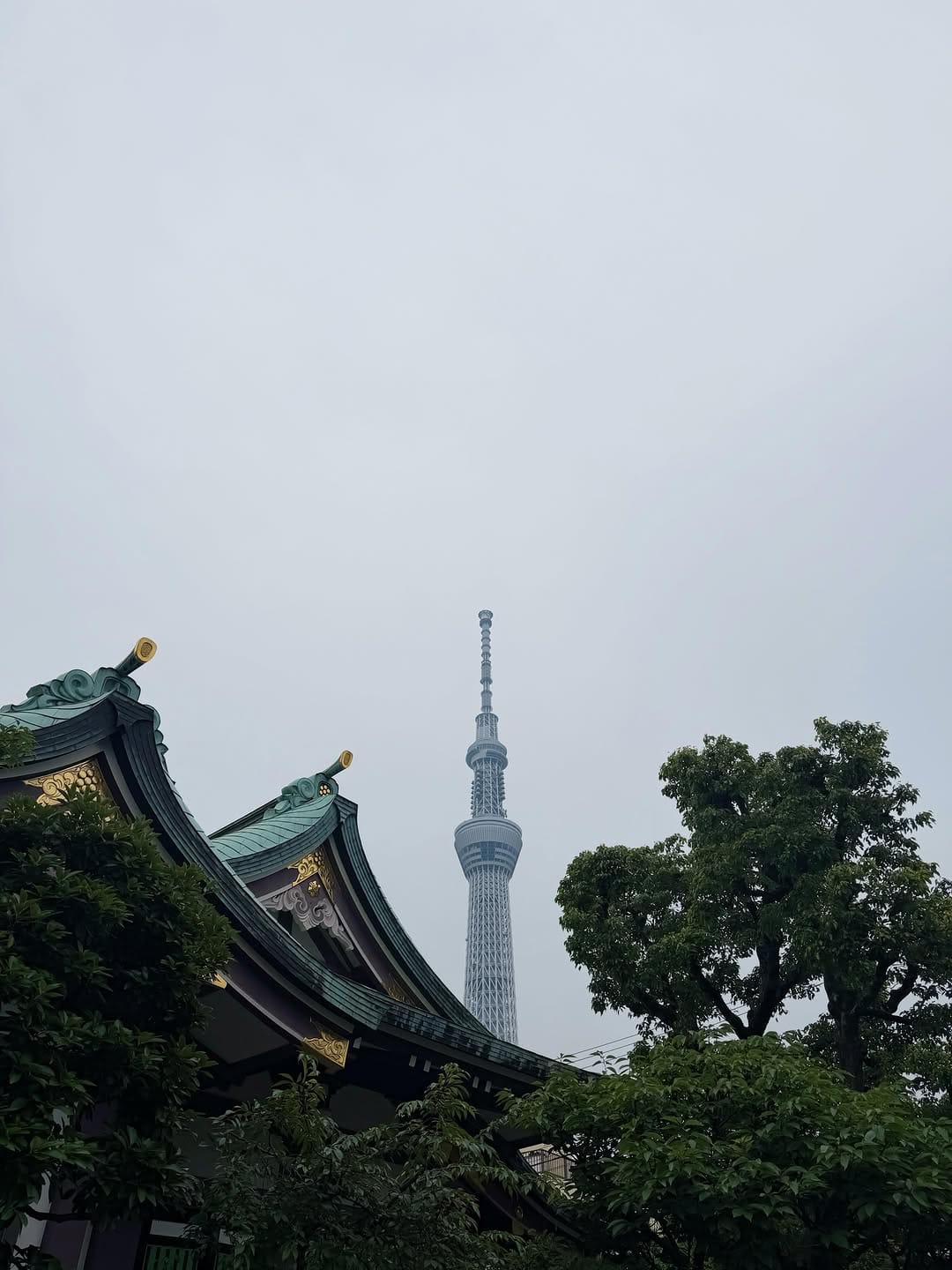 Post 1 by 高木神社 on Instagram (image)
