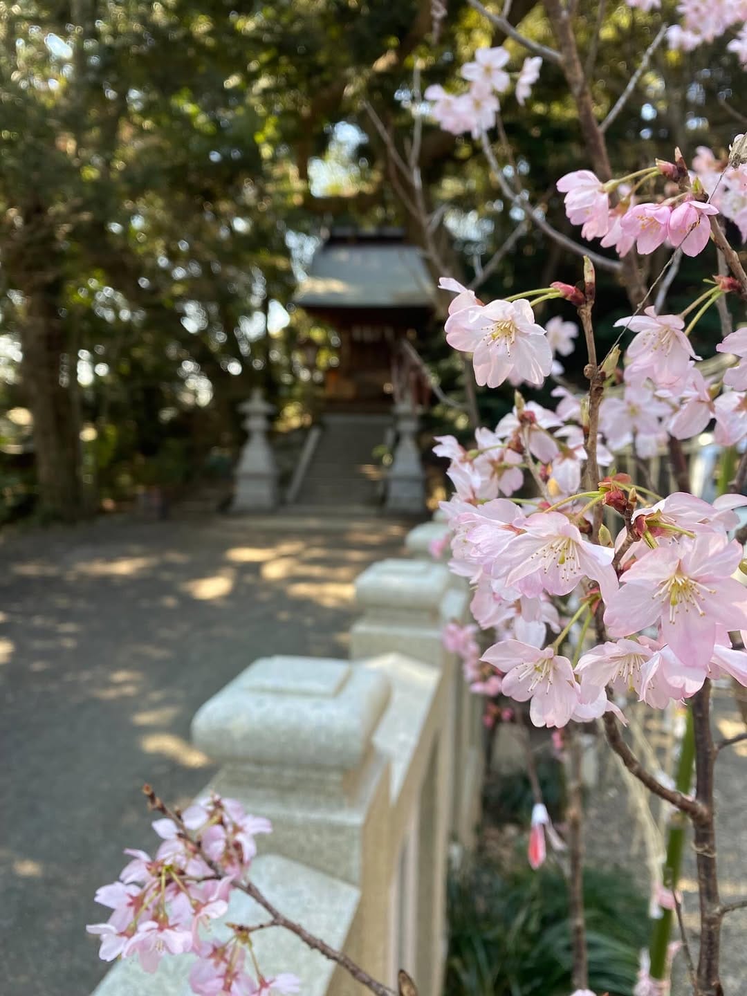 Post 10 by 大甕神社(大甕倭文神宮) on Instagram (image)