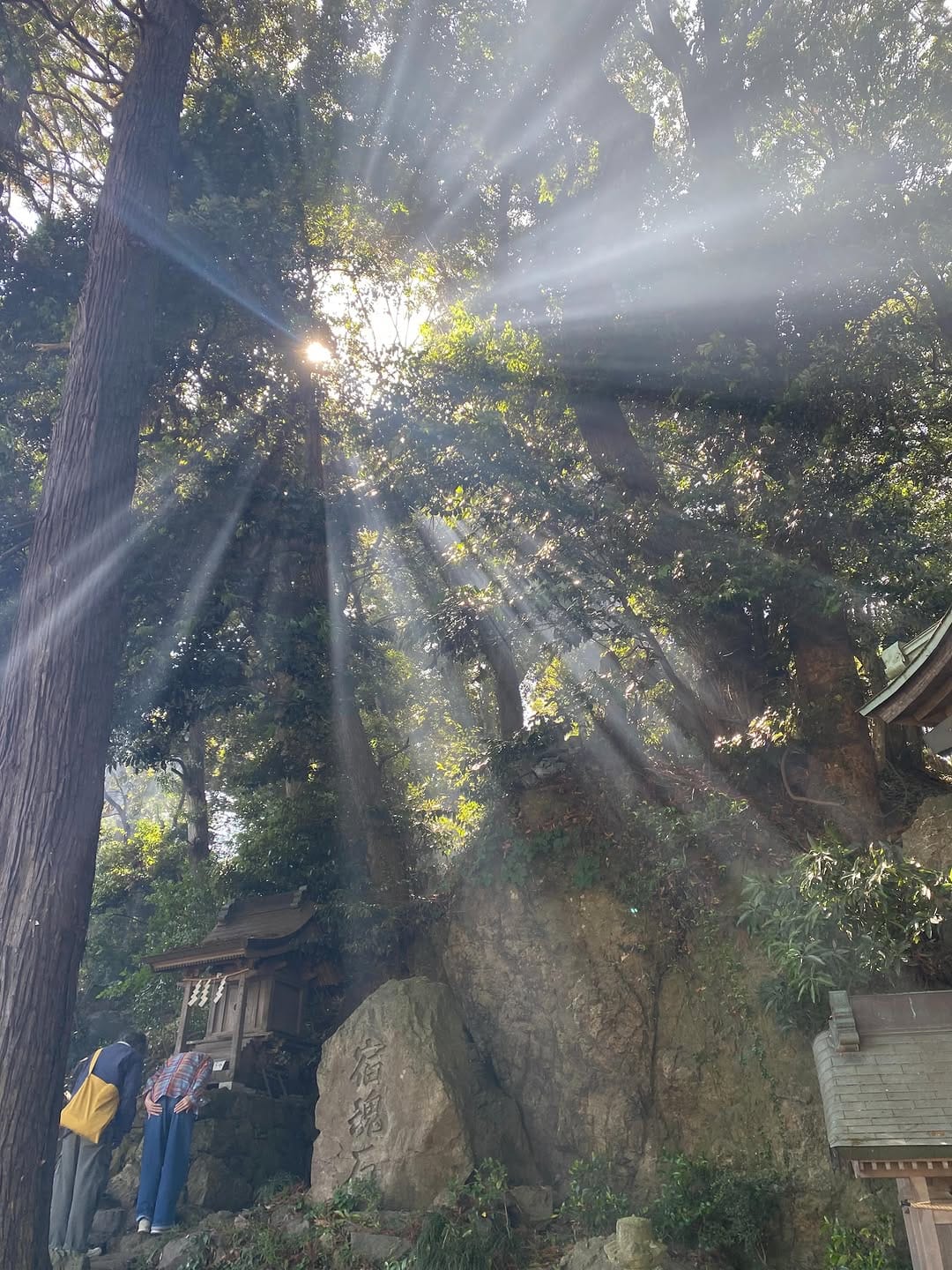 Post 6 by 大甕神社(大甕倭文神宮) on Instagram (image)