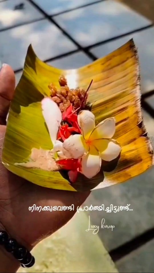 Post 3 by Temples_of_Kerala on Instagram (video)