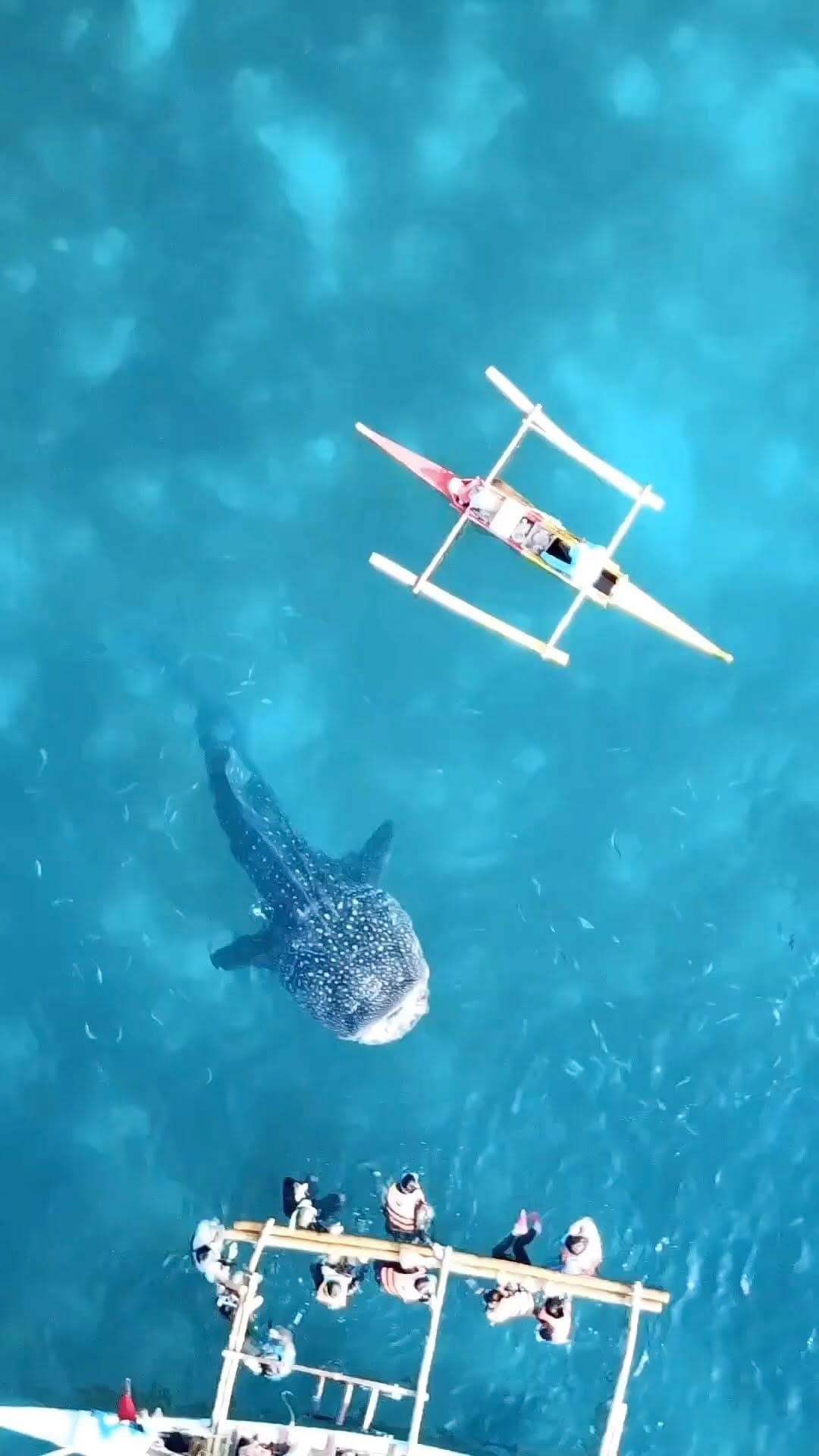 Post 6 by Juan De La Cruz on Instagram (video)