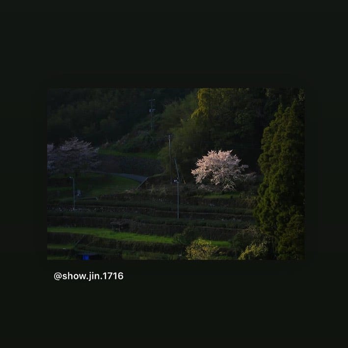 Post 7 by KumamotoMyLIFE on Instagram (image)