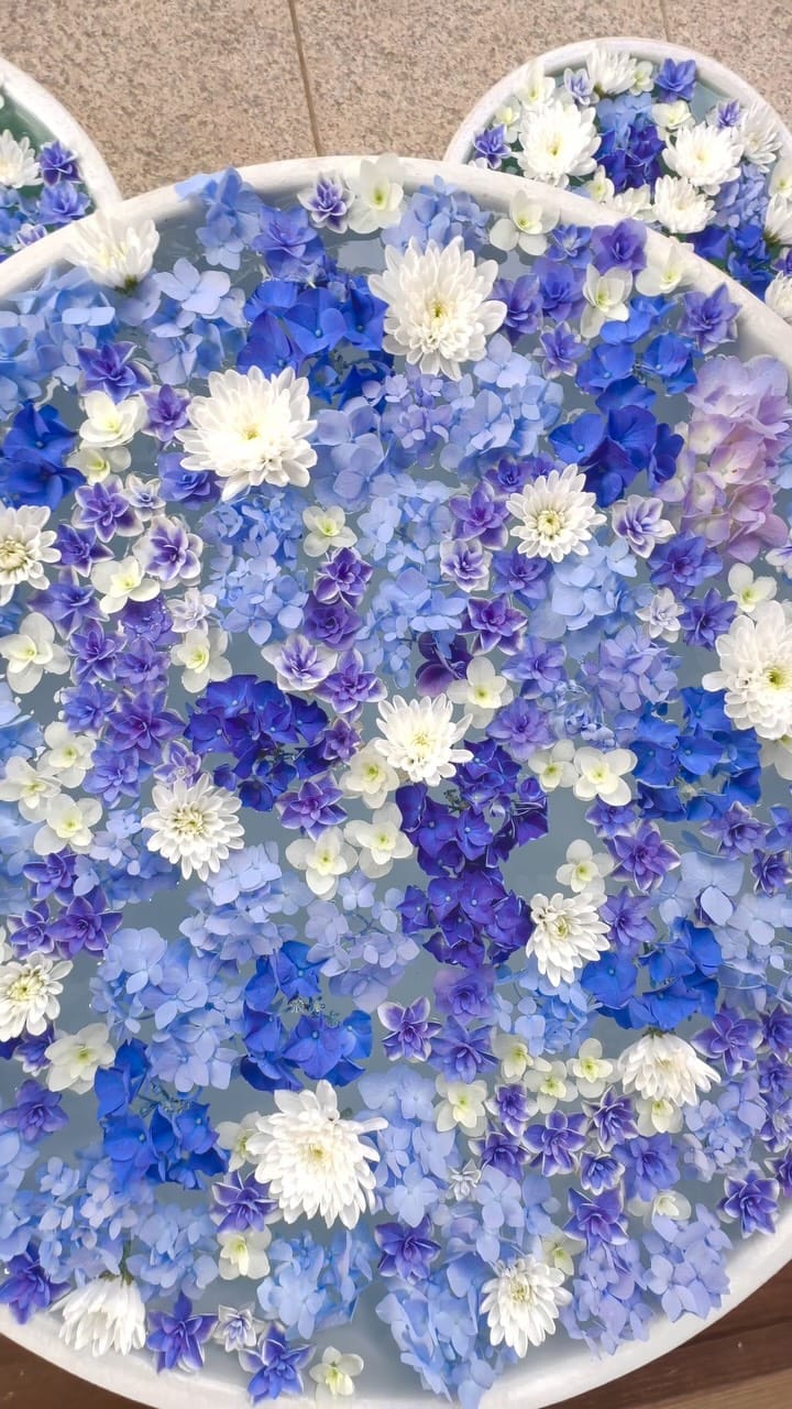 Post 3 by 萬年山 法輪寺 on Instagram (video)