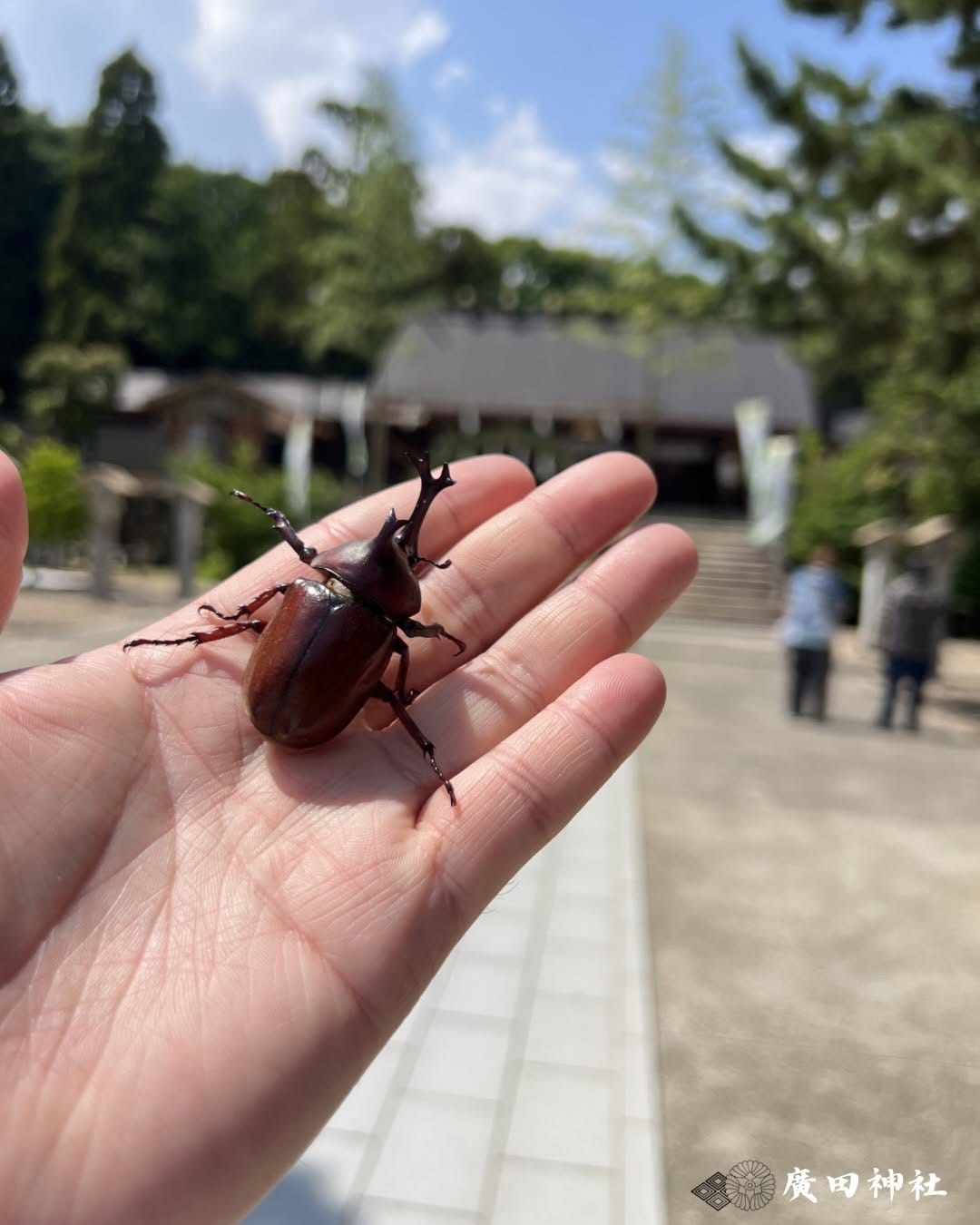 Post 2 by 廣田神社　西宮市　-公式- on Instagram (carousel)