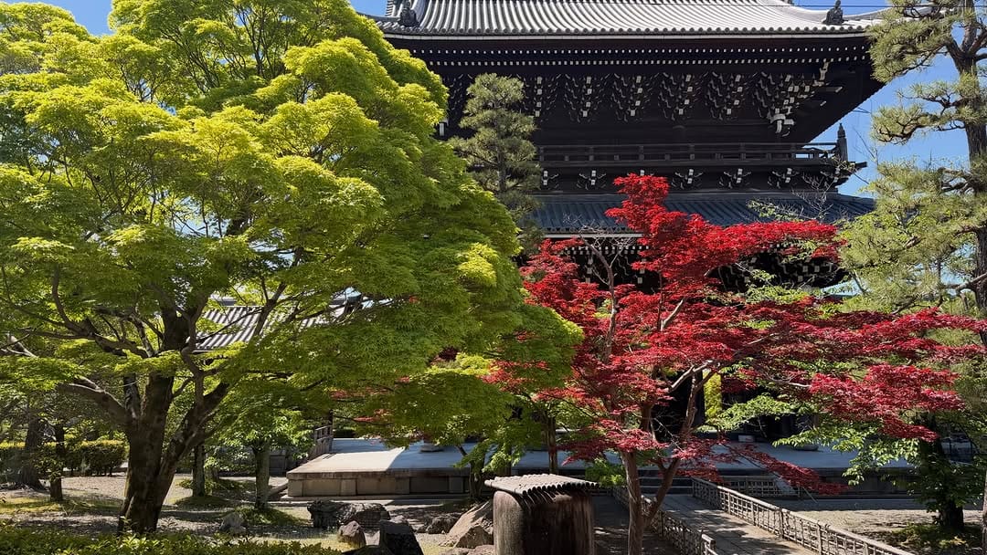 Post 4 by くろ谷 金戒光明寺 on Instagram (image)