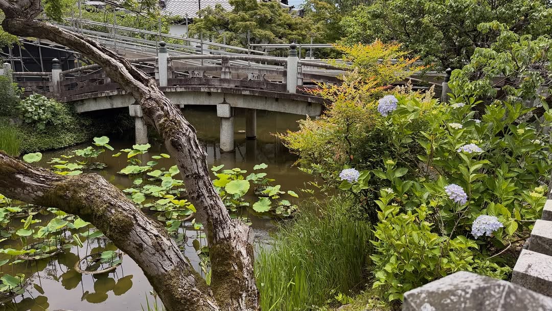 Post 3 by くろ谷 金戒光明寺 on Instagram (image)