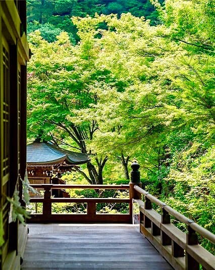 Post 2 by 大聖院 Daishoin temple on Instagram (carousel)