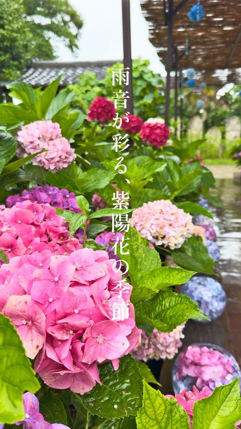Post 7 by 奈良 般若寺/ Nara hannyaji on Instagram (video)