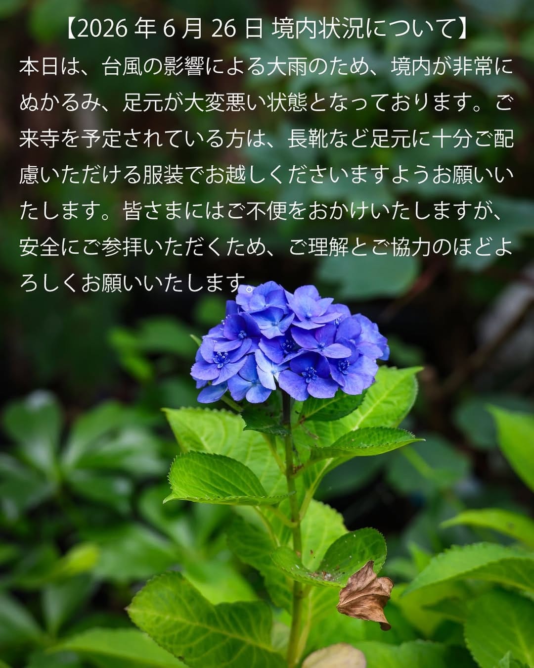 Post 6 by 奈良 般若寺/ Nara hannyaji on Instagram (image)
