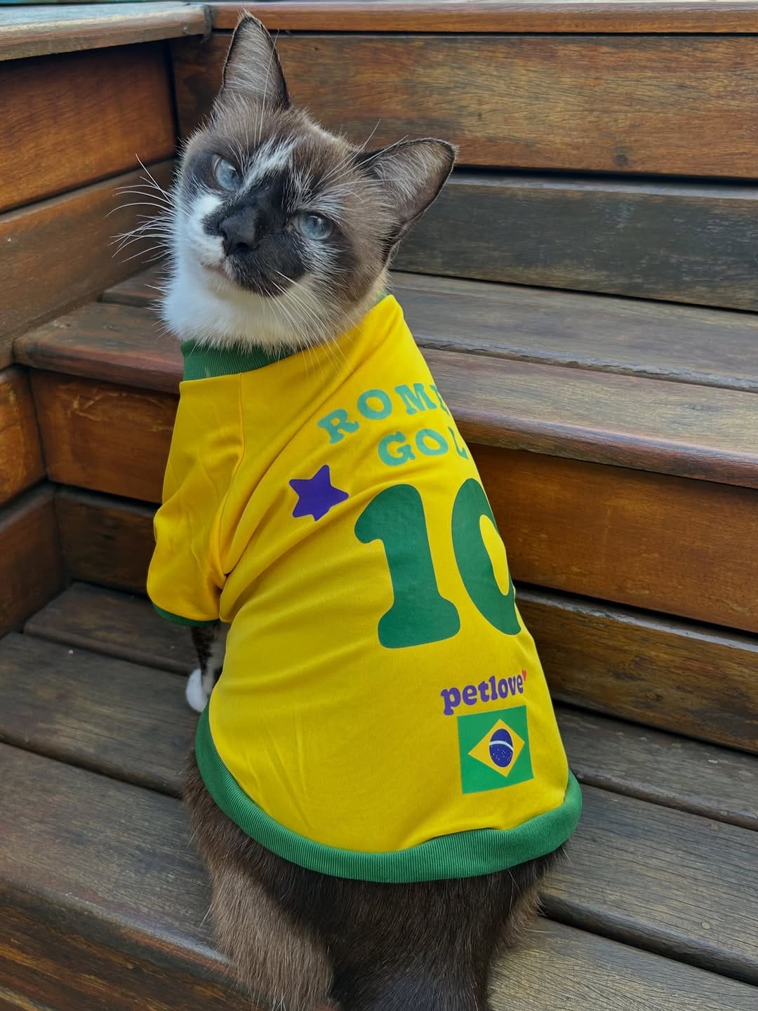 Post 3 by Romeu•Malelo•Dalila•Gatos SRD on Instagram (carousel)
