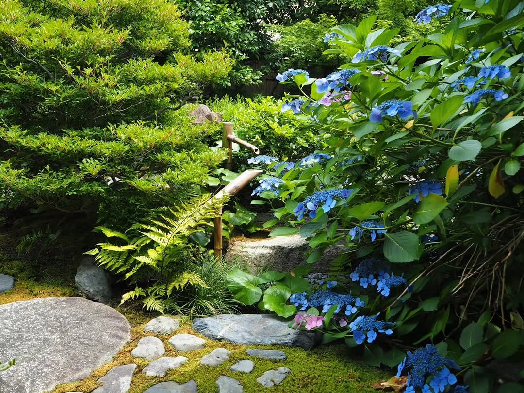 Post 2 by 東寺 拝観【公式】Toji Temple on Instagram (image)