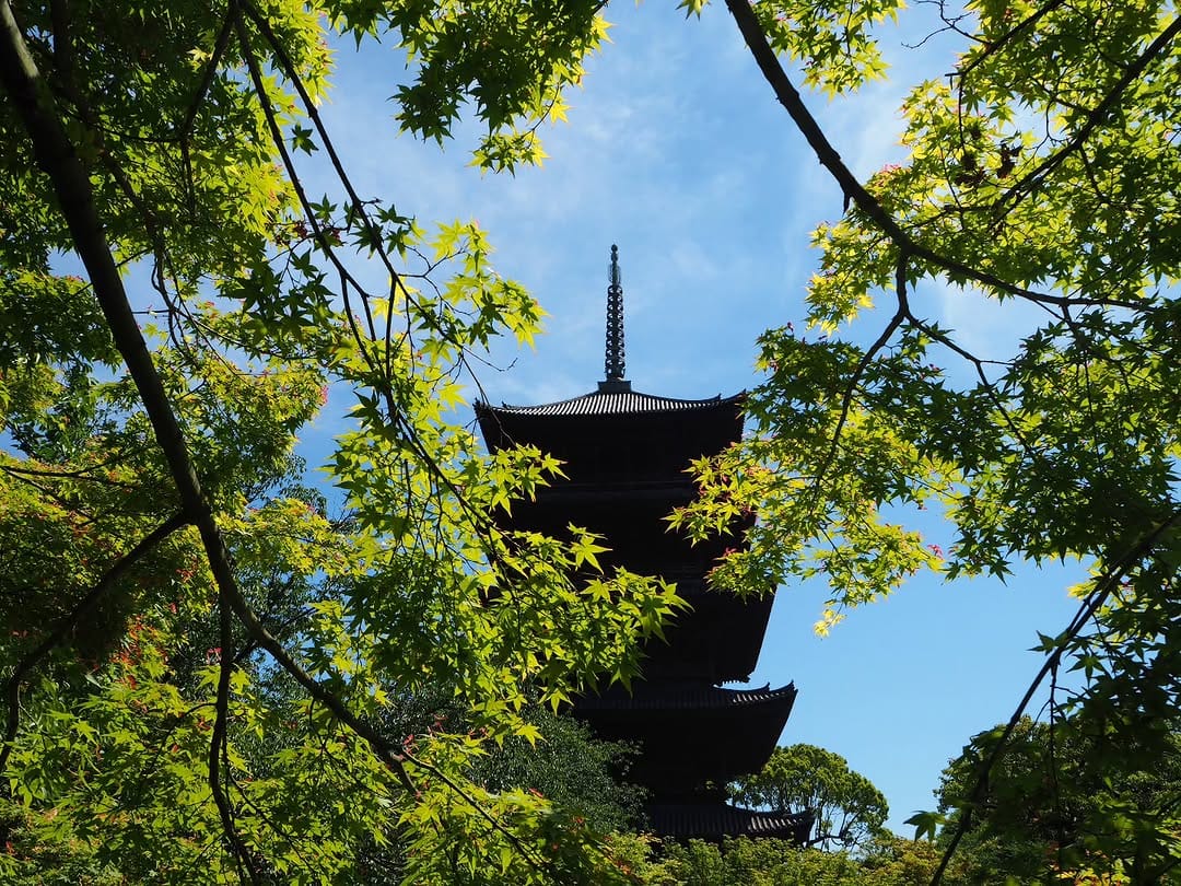 Post 8 by 東寺 拝観【公式】Toji Temple on Instagram (image)