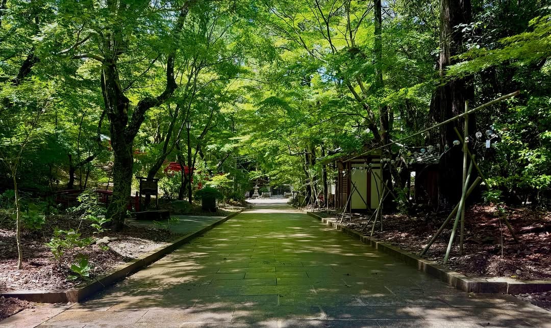 Post 9 by 油山寺 on Instagram (image)