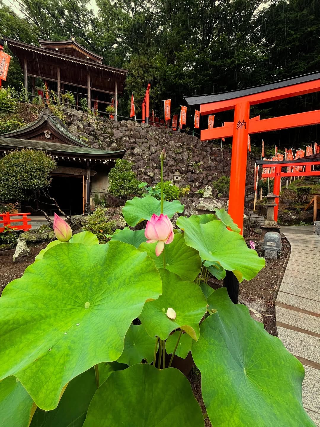 Post 4 by 土屋銭洗い弁財天　妙圓寺 on Instagram (image)