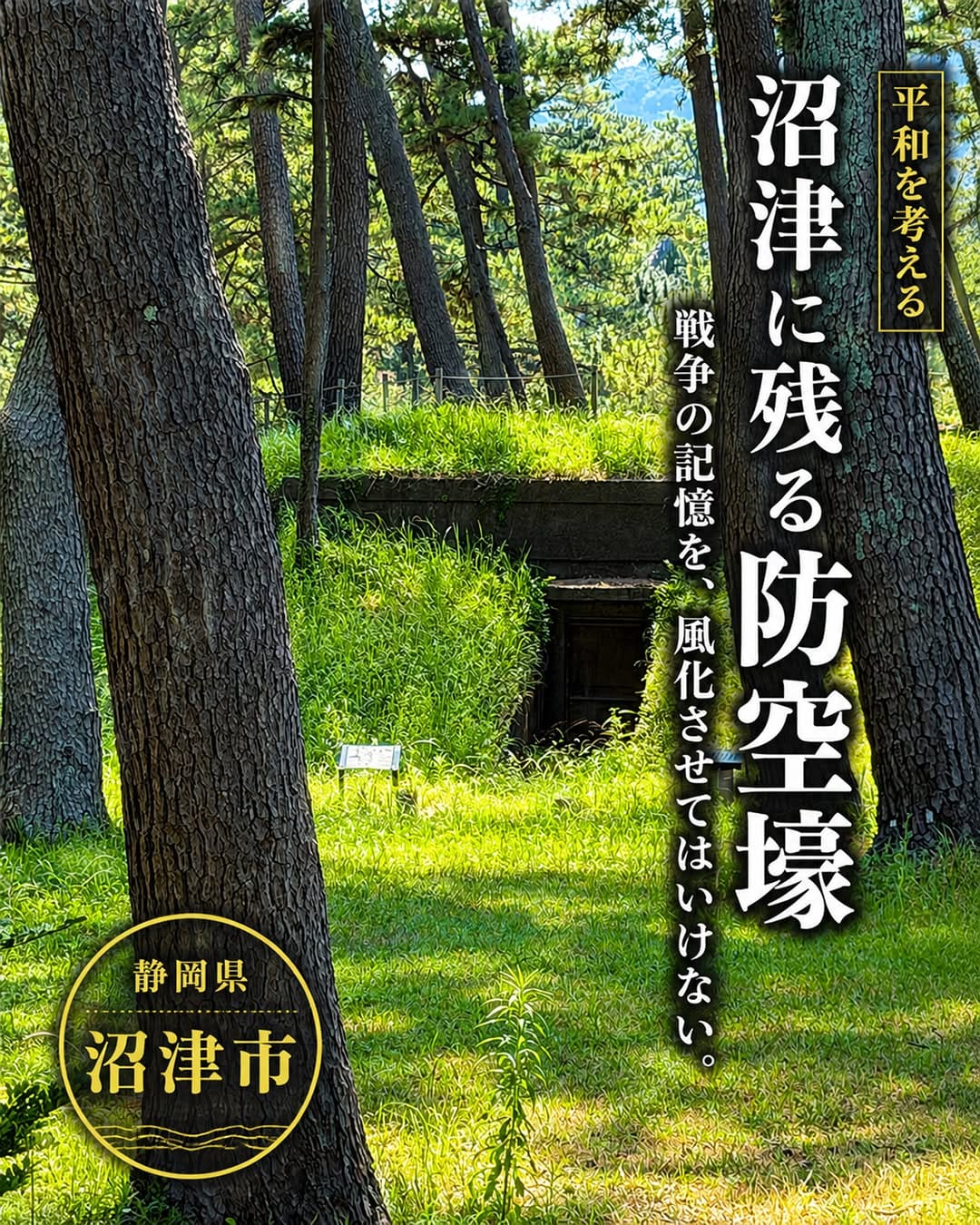 Post 1 by 静岡県観光・グルメ・イベント情報 -we love 静岡- on Instagram (carousel)