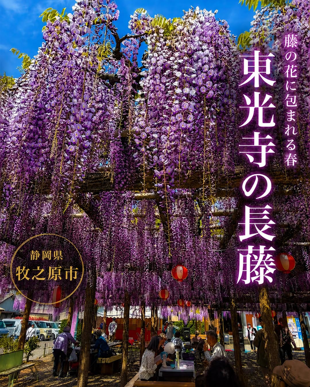 Post 6 by 静岡県観光・グルメ・イベント情報 -we love 静岡- on Instagram (carousel)
