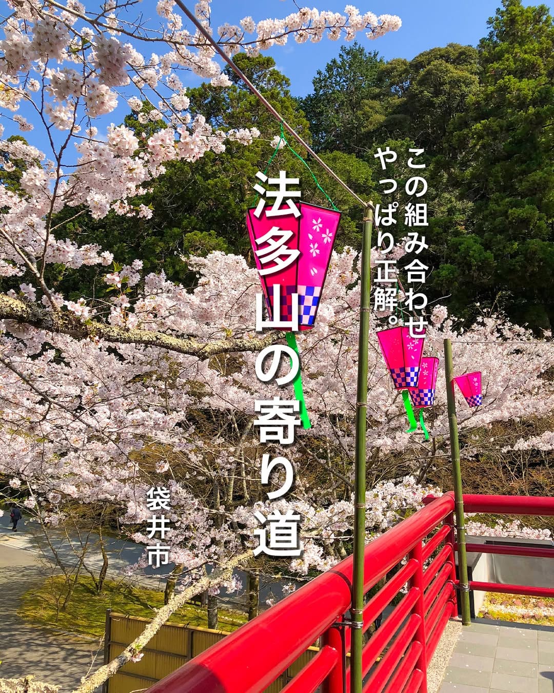 Post 8 by 静岡県観光・グルメ・イベント情報 -we love 静岡- on Instagram (carousel)