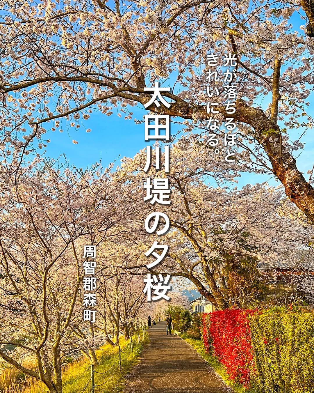 Post 9 by 静岡県観光・グルメ・イベント情報 -we love 静岡- on Instagram (carousel)