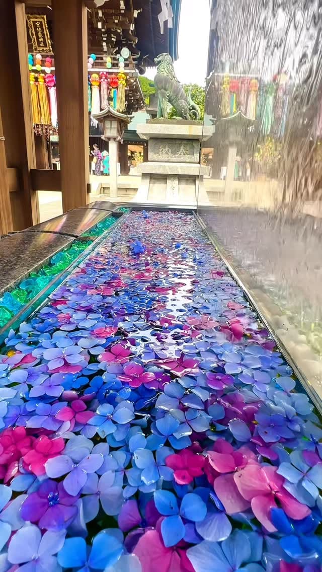 Post 2 by 宮地嶽神社 on Instagram (video)