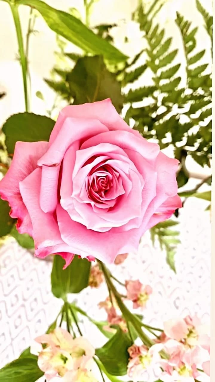 Post 2 by Haga Mends on Instagram (video)