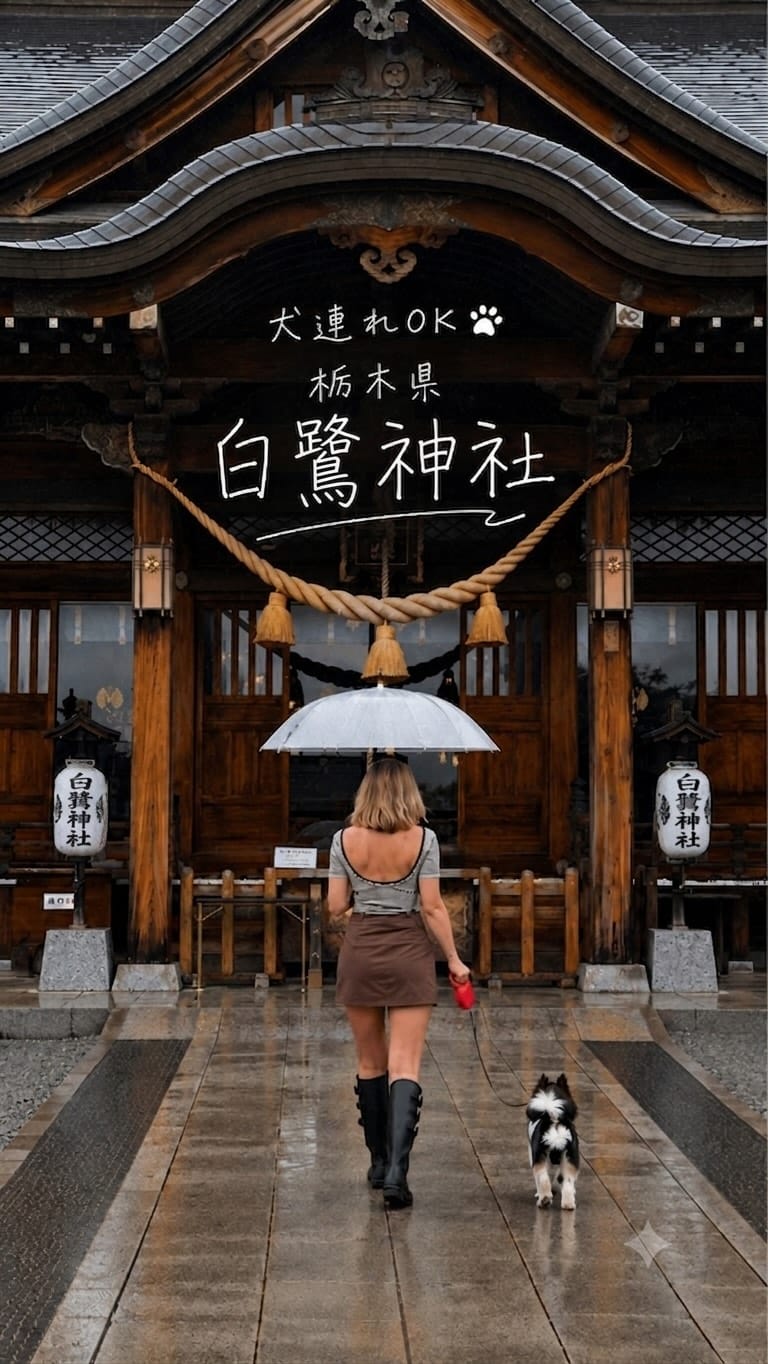 Post 4 by 白鷺神社【公式】 on Instagram (video)