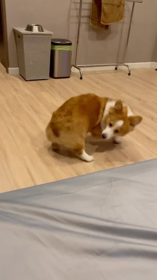 Post 3 by Nutt Kittaphat on Instagram (video)