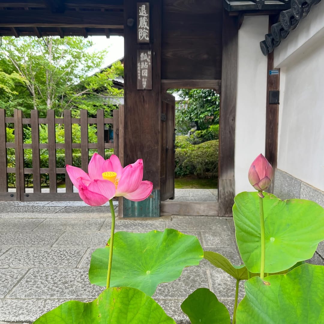 Post 3 by 妙心寺退蔵院 Taizoin on Instagram (carousel)