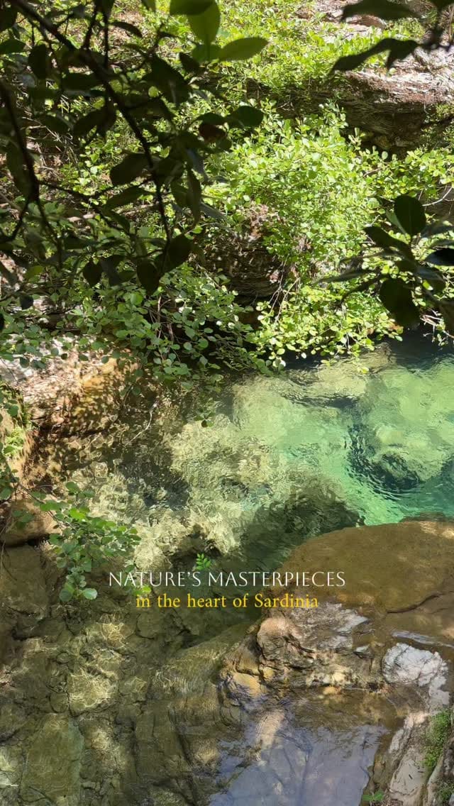 Post 7 by 𝗠𝗮𝗿𝗰𝗼 𝗠𝘂𝗿𝗿𝘂 - Sardinia on Instagram (video)
