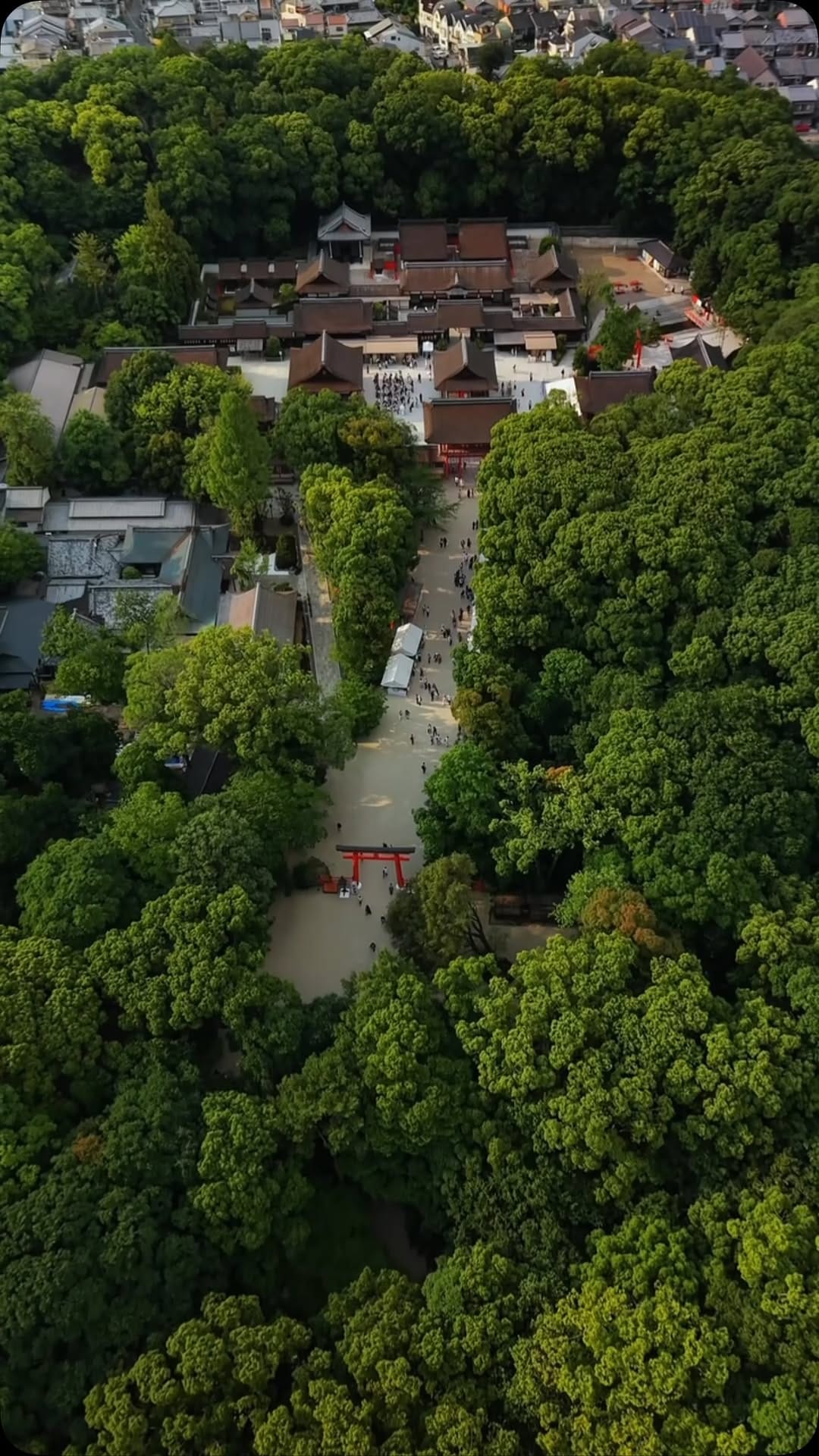 Post 1 by 世界遺産 賀茂御祖神社（下鴨神社） on Instagram (video)