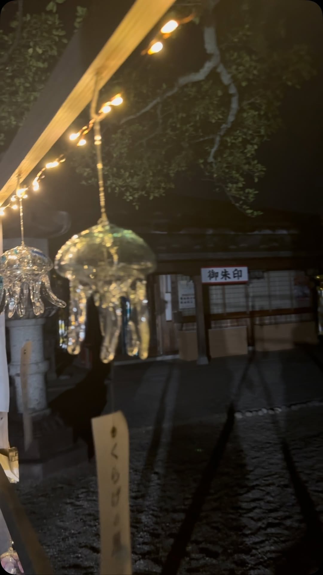 Post 2 by 荘内神社 on Instagram (video)