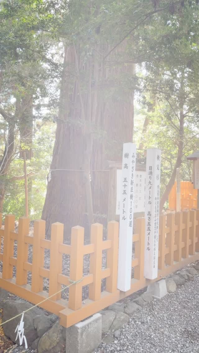 Post 10 by 高千穂神社 on Instagram (video)