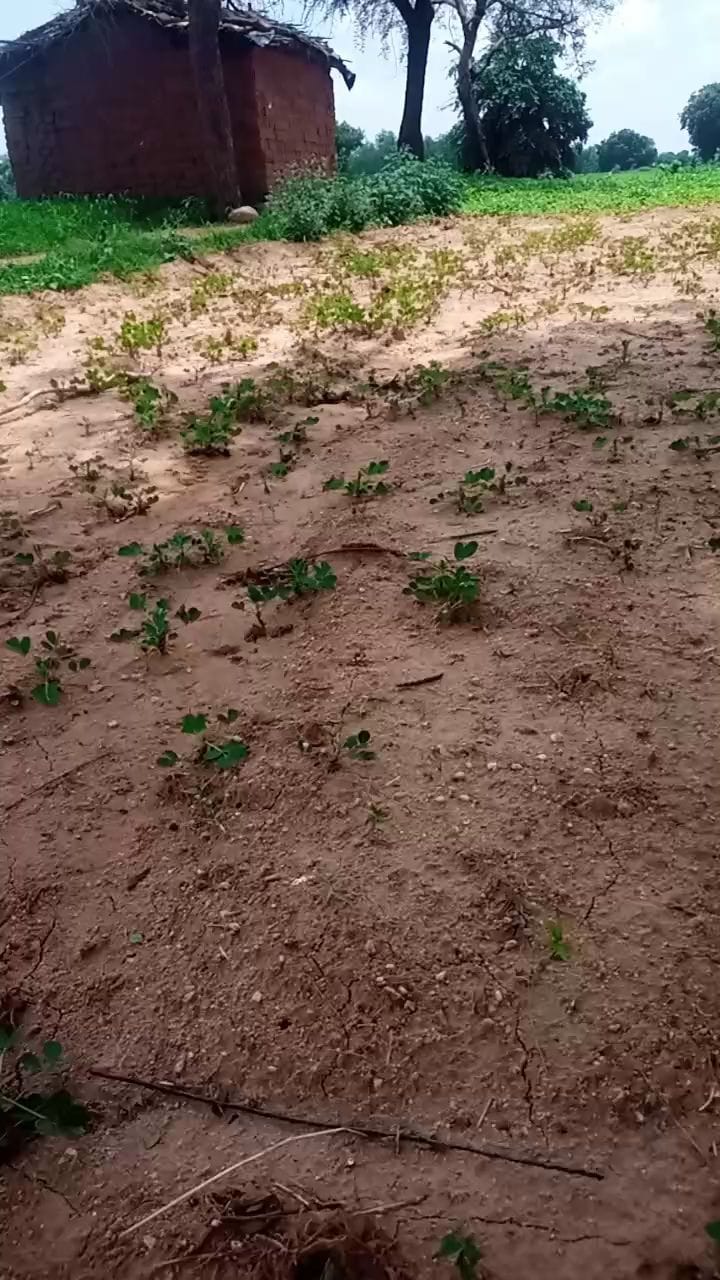 Post 1 by Bharat Patel on Instagram (video)