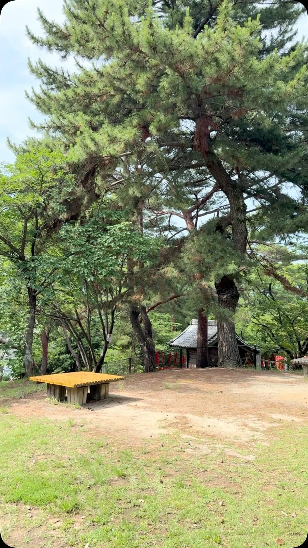 Post 1 by 紅葉八幡宮-もみじさん-【公式】 on Instagram (video)