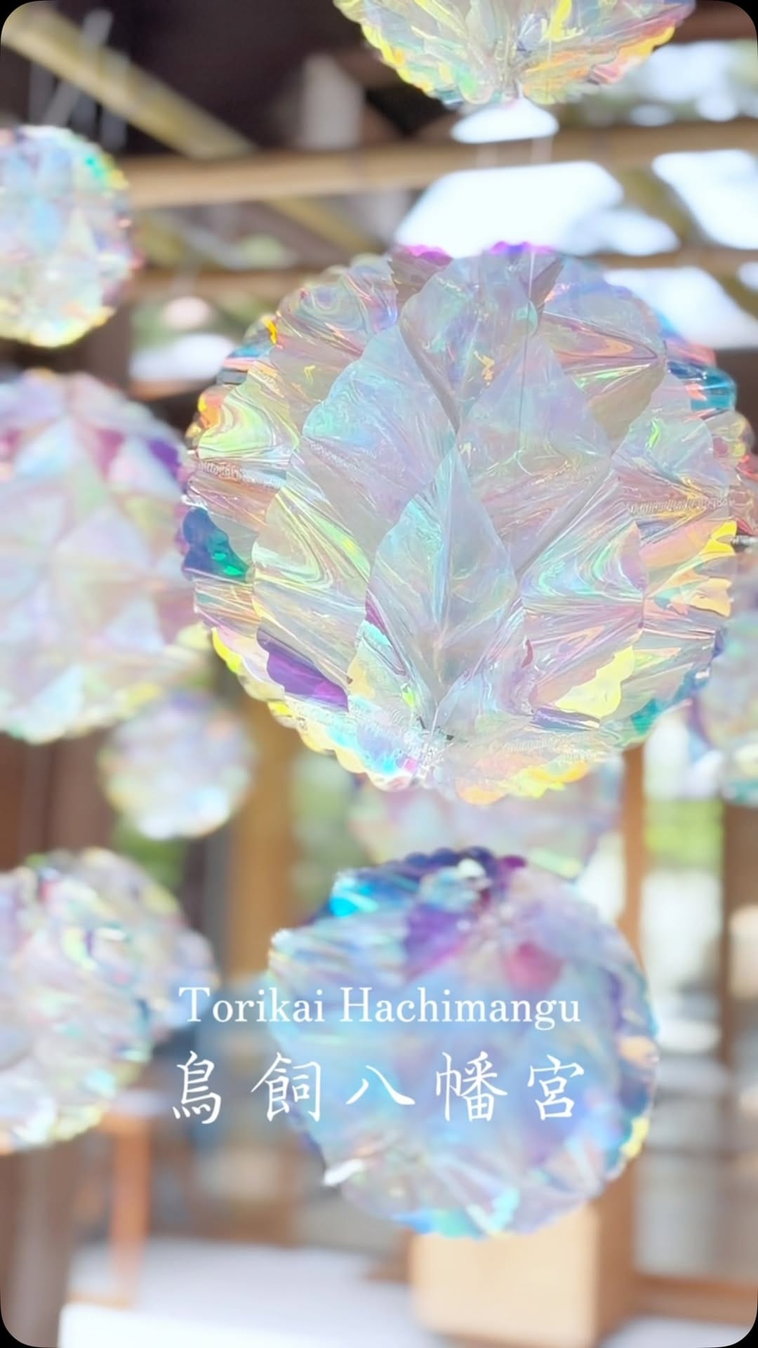 Post 3 by 鳥飼八幡宮｜Torikai Hachimangu on Instagram (video)