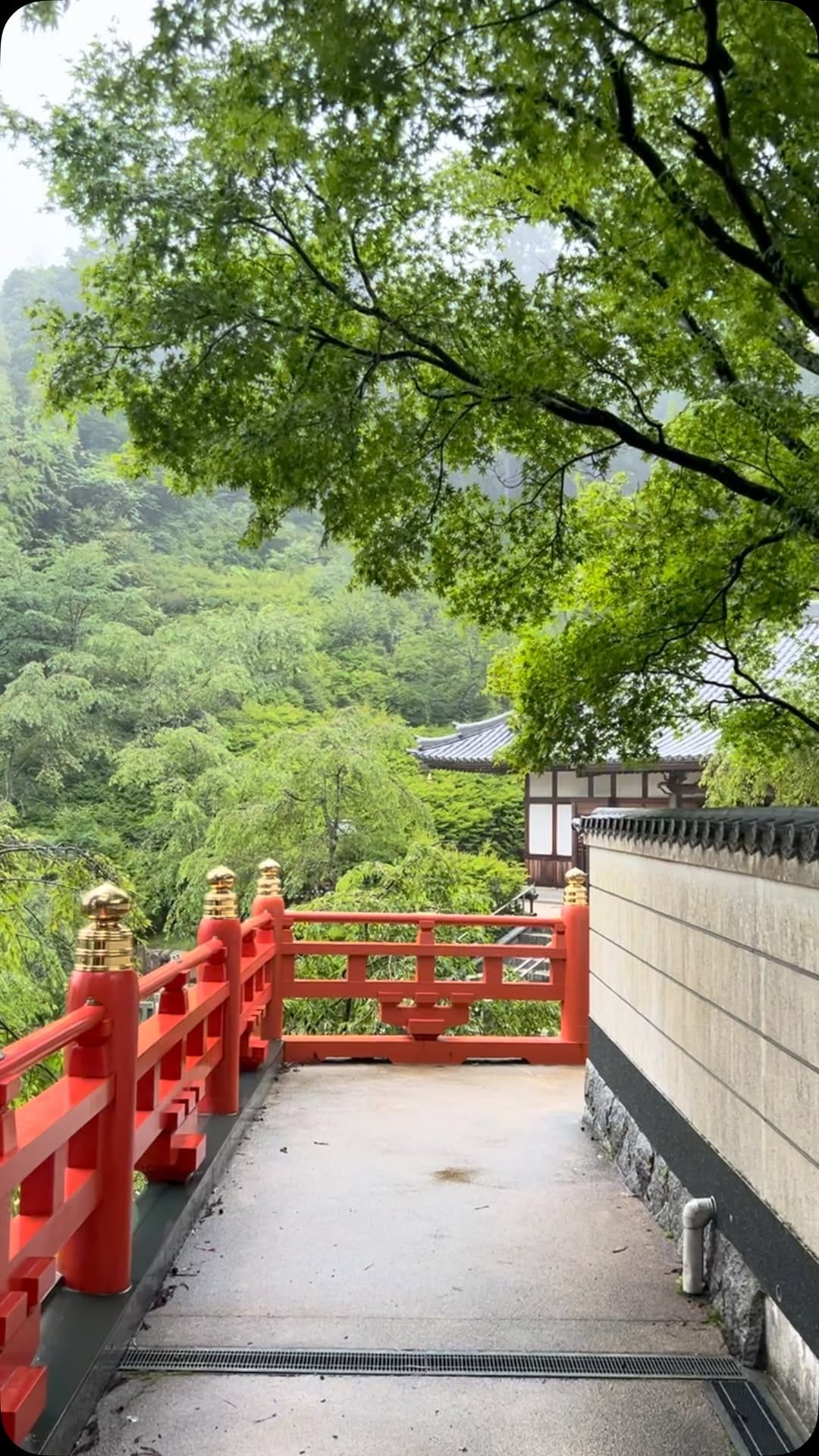 Post 3 by 呑山観音寺(公式) on Instagram (video)