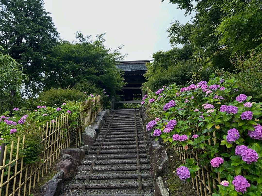 Post 2 by 呑山観音寺(公式) on Instagram (carousel)