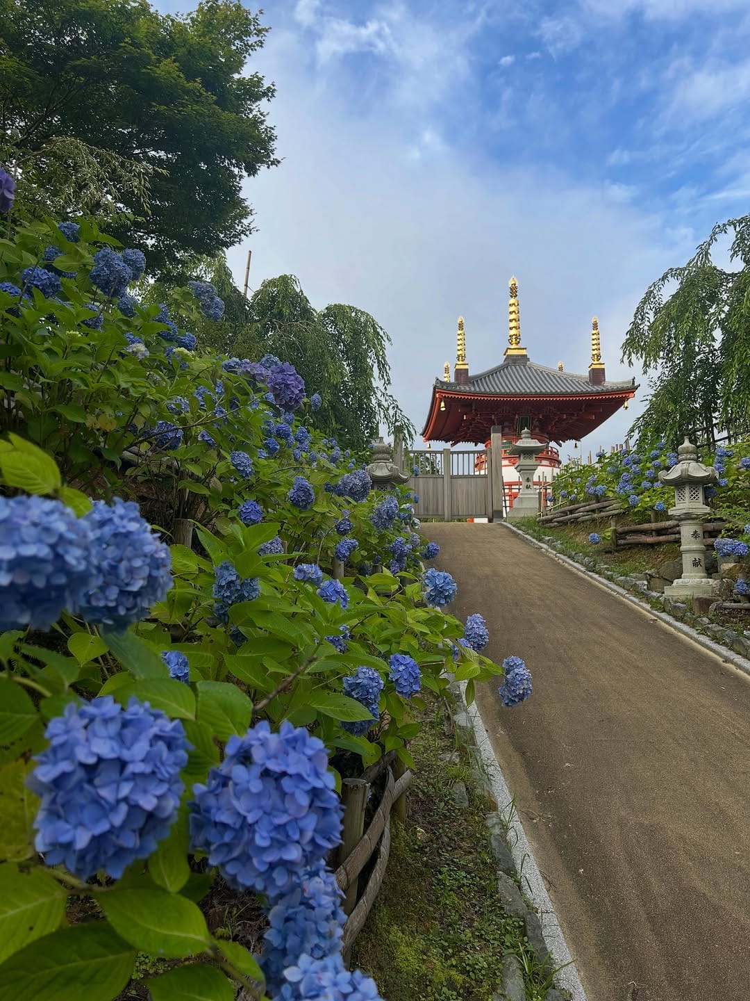 Post 6 by 呑山観音寺(公式) on Instagram (carousel)