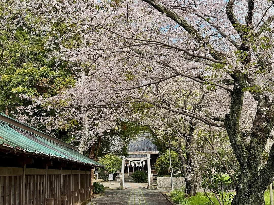 Post 7 by 川津来宮神社（杉桙別命神社）公式 on Instagram (image)