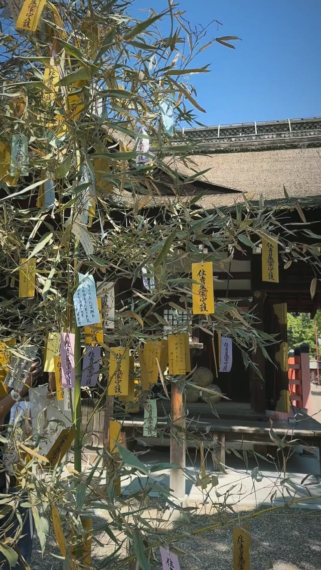 Post 1 by 住吉大社 | sumiyoshitaisha on Instagram (video)